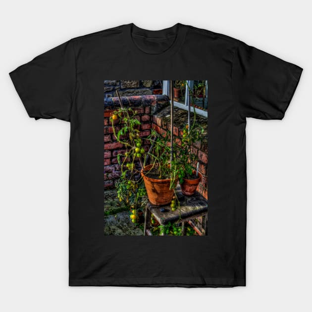 Tomatoes T-Shirt by axp7884